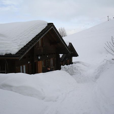Ferienwohnungen Im Blockhaus Metzler Schwarzenberg im Bregenzerwald Buitenkant foto
