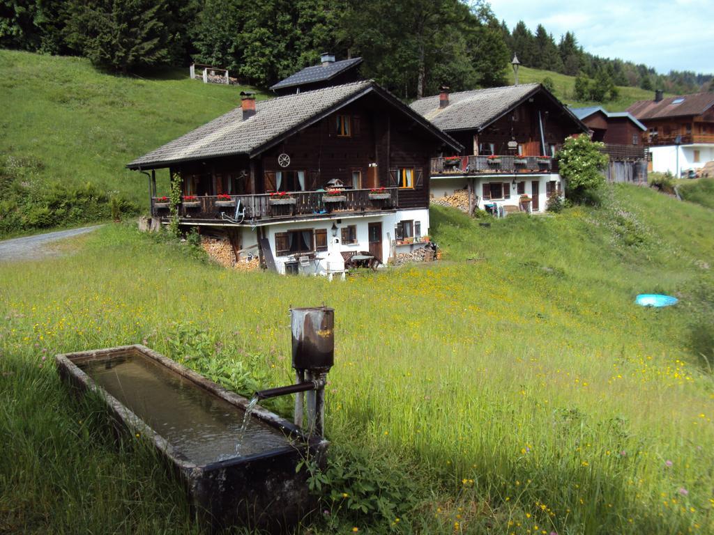 Ferienwohnungen Im Blockhaus Metzler Schwarzenberg im Bregenzerwald Buitenkant foto
