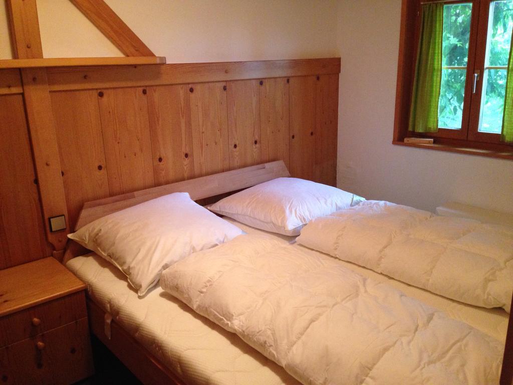 Ferienwohnungen Im Blockhaus Metzler Schwarzenberg im Bregenzerwald Kamer foto