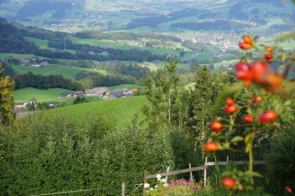 Ferienwohnungen Im Blockhaus Metzler Schwarzenberg im Bregenzerwald Buitenkant foto
