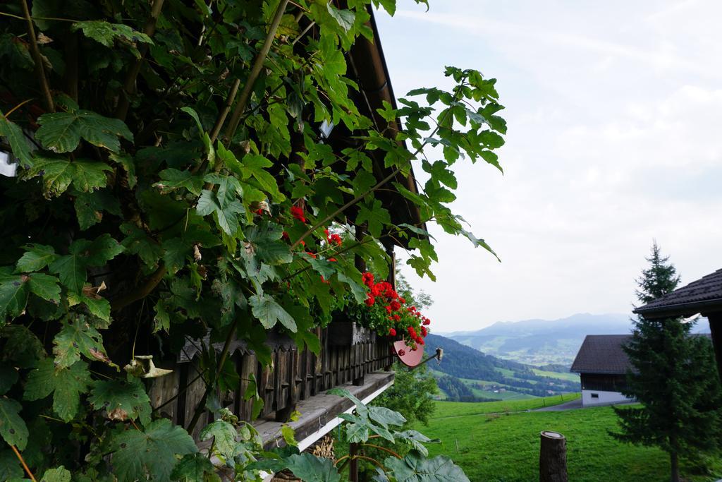 Ferienwohnungen Im Blockhaus Metzler Schwarzenberg im Bregenzerwald Buitenkant foto
