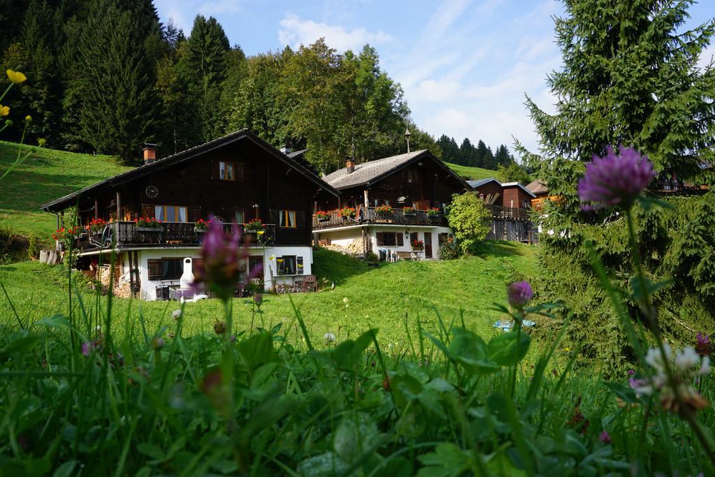 Ferienwohnungen Im Blockhaus Metzler Schwarzenberg im Bregenzerwald Buitenkant foto